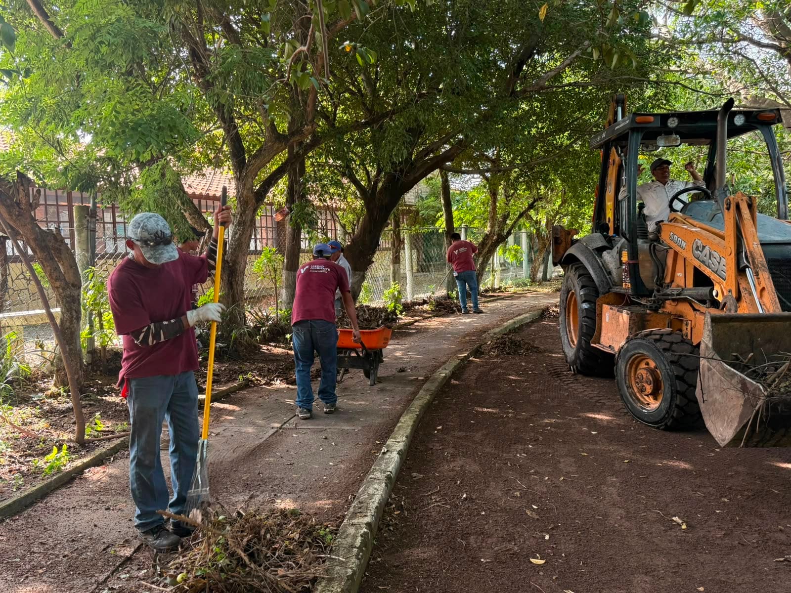 Retira Ayuntamiento de Veracruz más de 100 toneladas de residuos en lagunas de la ciudad