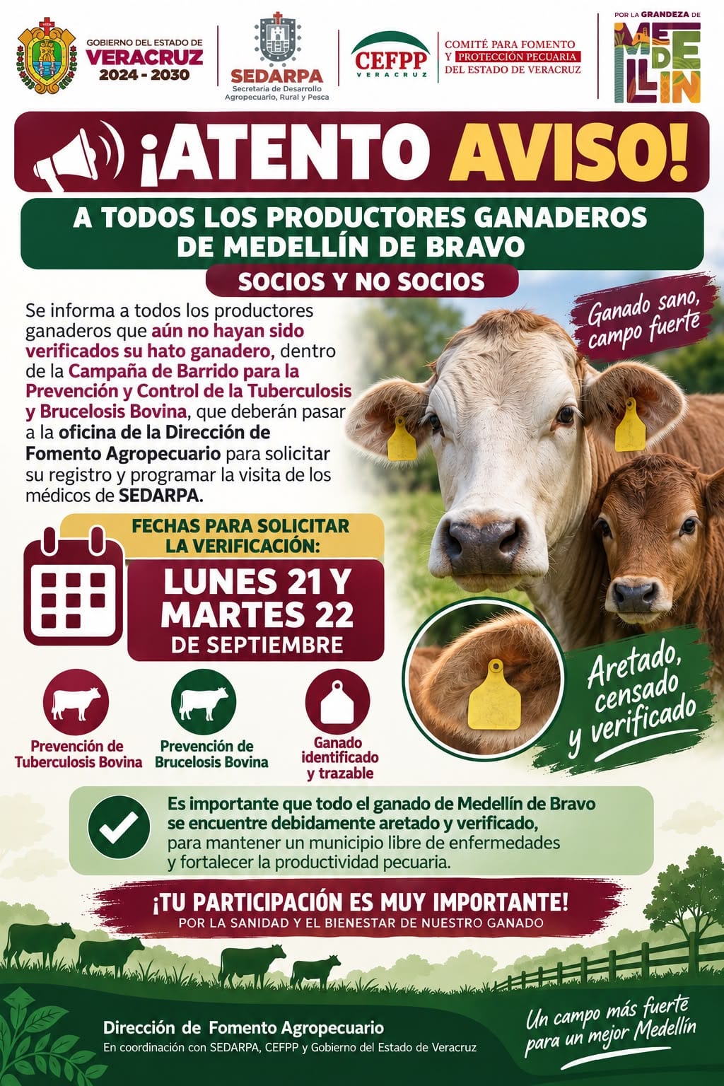 Medellín de Bravo impulsa la sanidad pecuaria con campaña de verificación de ganado