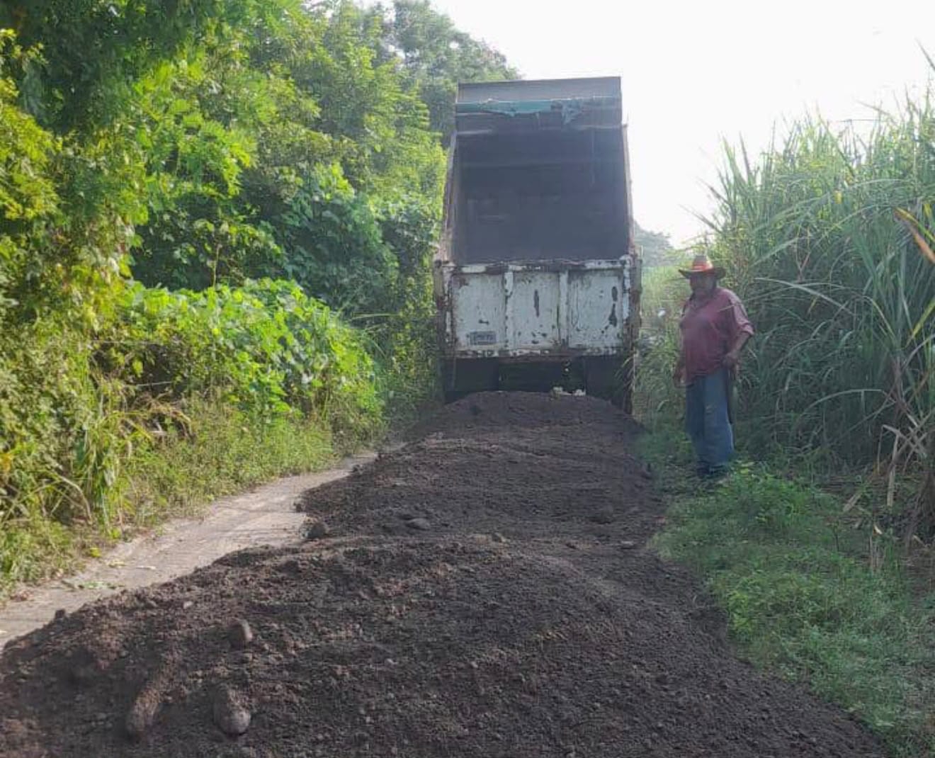 Ayuntamiento de Jamapa fortalece la movilidad en comunidades con rehabilitación de caminos